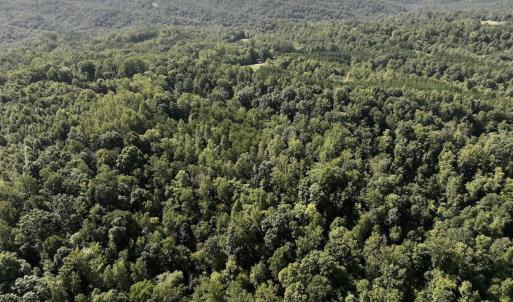 Photo #5 of 01 Seven Island Road, Danbury, NC 18.5 acres