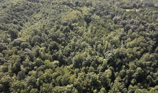 Photo #6 of 01 Seven Island Road, Danbury, NC 18.5 acres