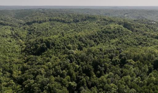 Photo #7 of 01 Seven Island Road, Danbury, NC 18.5 acres