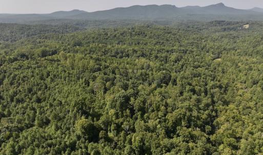 Photo #21 of 01 Seven Island Road, Danbury, NC 18.5 acres