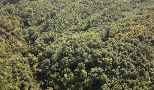 Photo #22 of 01 Seven Island Road, Danbury, NC 18.5 acres