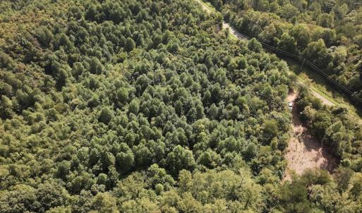 Photo #23 of 01 Seven Island Road, Danbury, NC 18.5 acres