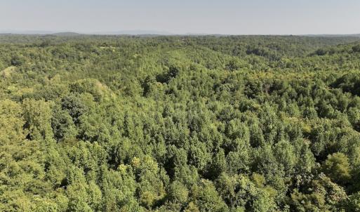 Photo #26 of 01 Seven Island Road, Danbury, NC 18.5 acres