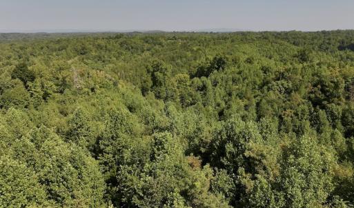 Photo #27 of 01 Seven Island Road, Danbury, NC 18.5 acres
