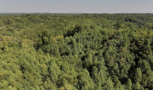 Photo #28 of 01 Seven Island Road, Danbury, NC 18.5 acres
