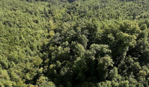 Photo #30 of 01 Seven Island Road, Danbury, NC 18.5 acres