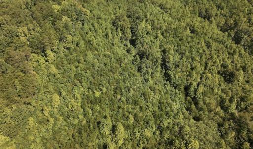 Photo #32 of 01 Seven Island Road, Danbury, NC 18.5 acres