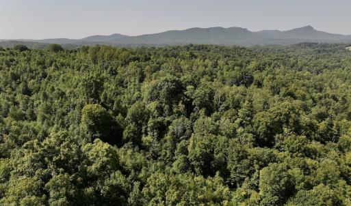 Photo #33 of 01 Seven Island Road, Danbury, NC 18.5 acres