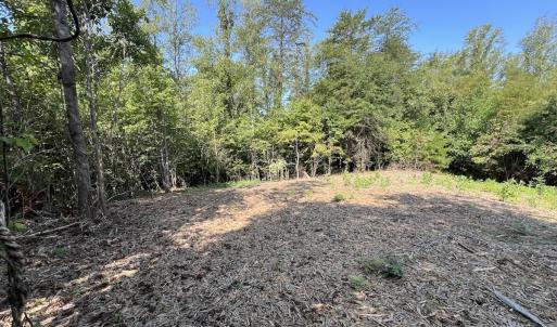 Photo #36 of 01 Seven Island Road, Danbury, NC 18.5 acres
