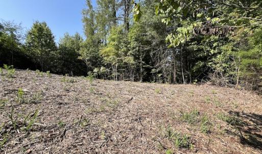 Photo #38 of 01 Seven Island Road, Danbury, NC 18.5 acres