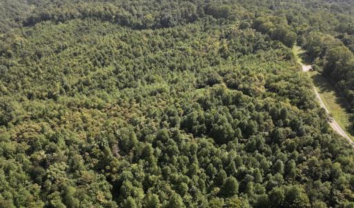 Photo #10 of SOLD property in 02 Seven Island Road, Danbury, NC 21.7 acres
