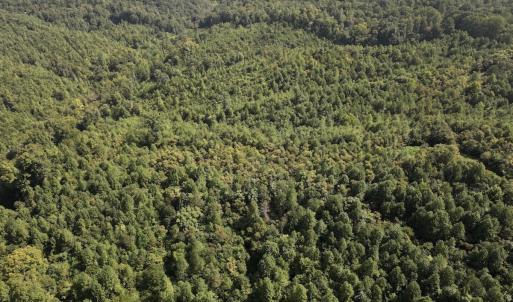 Photo #11 of SOLD property in 02 Seven Island Road, Danbury, NC 21.7 acres