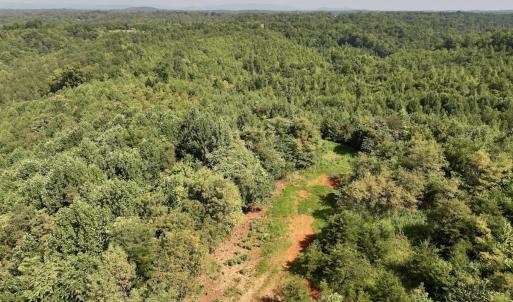 Photo #14 of SOLD property in 02 Seven Island Road, Danbury, NC 21.7 acres