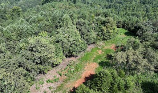 Photo #15 of SOLD property in 02 Seven Island Road, Danbury, NC 21.7 acres