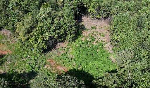Photo #16 of SOLD property in 02 Seven Island Road, Danbury, NC 21.7 acres