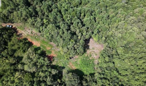 Photo #17 of SOLD property in 02 Seven Island Road, Danbury, NC 21.7 acres