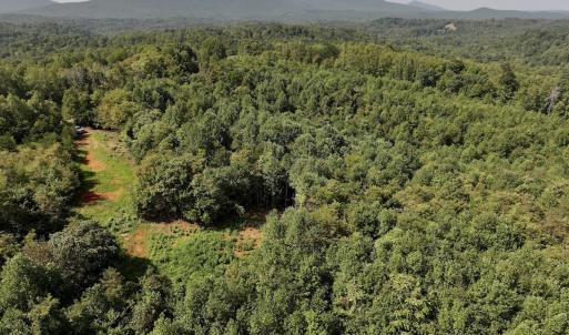 Photo #19 of SOLD property in 02 Seven Island Road, Danbury, NC 21.7 acres