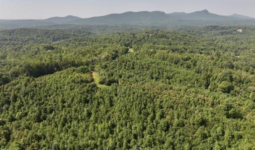Photo #4 of SOLD property in 02 Seven Island Road, Danbury, NC 21.7 acres