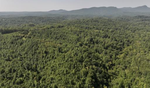 Photo #5 of SOLD property in 02 Seven Island Road, Danbury, NC 21.7 acres