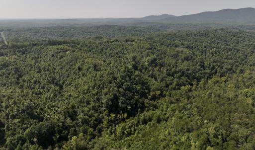 Photo #6 of SOLD property in 02 Seven Island Road, Danbury, NC 21.7 acres