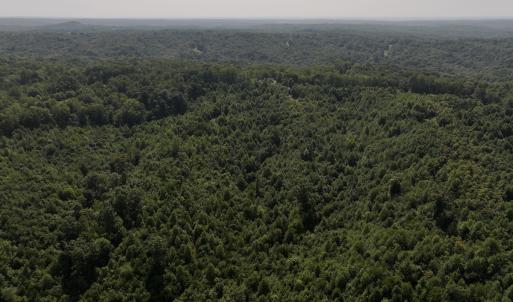 Photo #7 of SOLD property in 02 Seven Island Road, Danbury, NC 21.7 acres