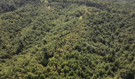 Photo #8 of SOLD property in 02 Seven Island Road, Danbury, NC 21.7 acres