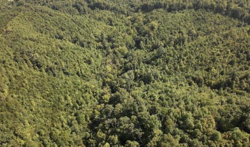 Photo #9 of SOLD property in 02 Seven Island Road, Danbury, NC 21.7 acres