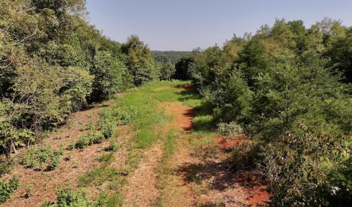 Photo #22 of SOLD property in 02 Seven Island Road, Danbury, NC 21.7 acres