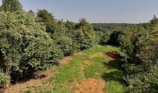 Photo #23 of SOLD property in 02 Seven Island Road, Danbury, NC 21.7 acres