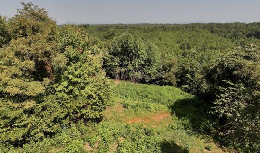 Photo #24 of SOLD property in 02 Seven Island Road, Danbury, NC 21.7 acres
