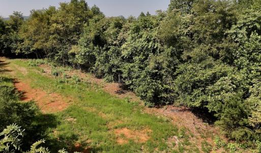Photo #25 of SOLD property in 02 Seven Island Road, Danbury, NC 21.7 acres