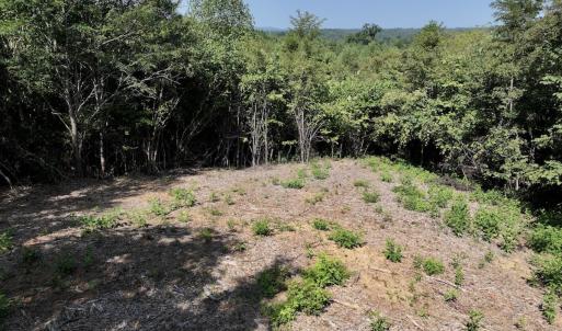 Photo #26 of SOLD property in 02 Seven Island Road, Danbury, NC 21.7 acres