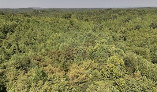 Photo #27 of SOLD property in 02 Seven Island Road, Danbury, NC 21.7 acres
