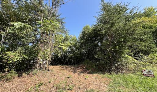 Photo #29 of SOLD property in 02 Seven Island Road, Danbury, NC 21.7 acres