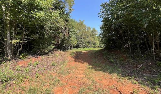 Photo #30 of SOLD property in 02 Seven Island Road, Danbury, NC 21.7 acres