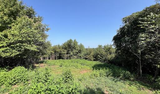 Photo #32 of SOLD property in 02 Seven Island Road, Danbury, NC 21.7 acres