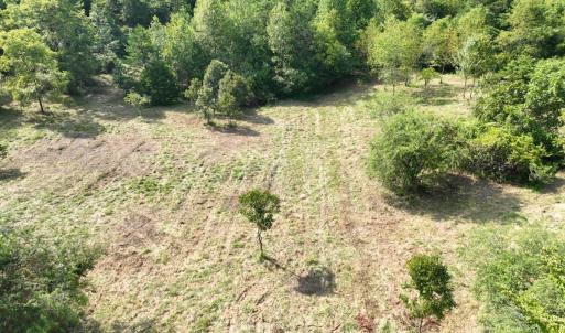 Photo #13 of Off of Moneta Road, Moneta, VA 10.4 acres