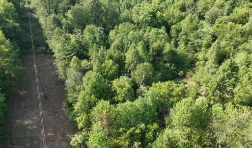 Photo #9 of Off of Moneta Road, Moneta, VA 10.4 acres