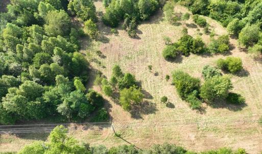 Photo #15 of Off of Moneta Road, Moneta, VA 10.4 acres