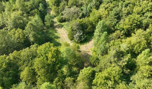 Photo #23 of Off of Moneta Road, Moneta, VA 10.4 acres