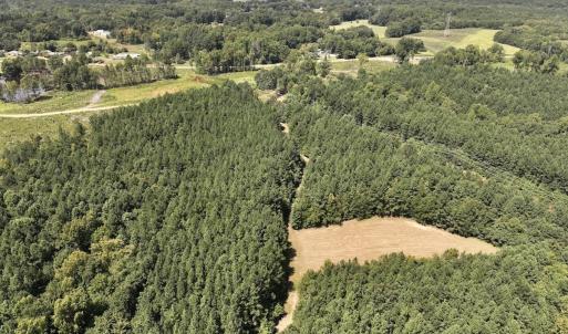 Photo #10 of SOLD property in Off Todd Road and Virgilina Road, Roxboro, NC 31.4 acres