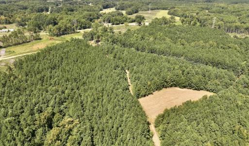 Photo #11 of SOLD property in Off Todd Road and Virgilina Road, Roxboro, NC 31.4 acres