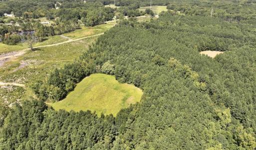 Photo #13 of SOLD property in Off Todd Road and Virgilina Road, Roxboro, NC 31.4 acres