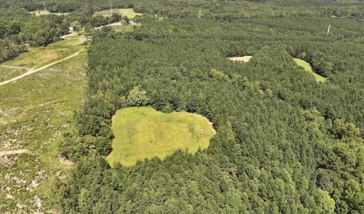Photo #15 of SOLD property in Off Todd Road and Virgilina Road, Roxboro, NC 31.4 acres