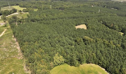 Photo #16 of SOLD property in Off Todd Road and Virgilina Road, Roxboro, NC 31.4 acres