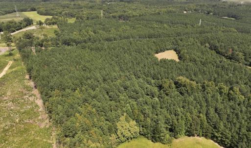 Photo #17 of SOLD property in Off Todd Road and Virgilina Road, Roxboro, NC 31.4 acres