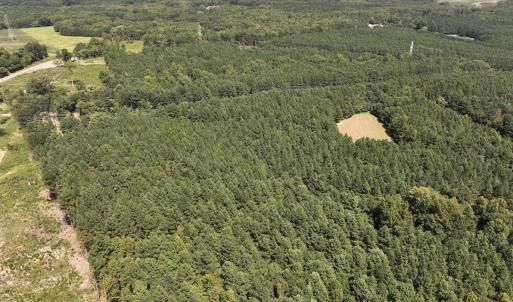 Photo #18 of SOLD property in Off Todd Road and Virgilina Road, Roxboro, NC 31.4 acres