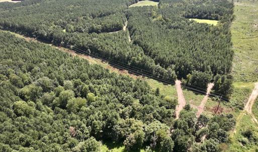 Photo #2 of SOLD property in Off Todd Road and Virgilina Road, Roxboro, NC 31.4 acres