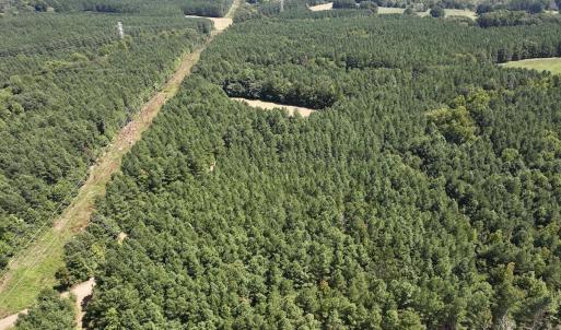 Photo #20 of SOLD property in Off Todd Road and Virgilina Road, Roxboro, NC 31.4 acres