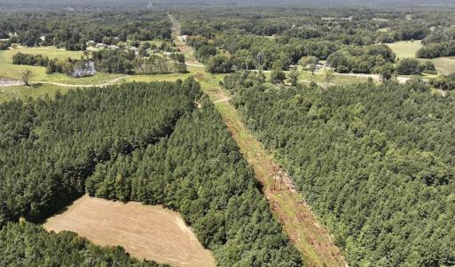 Photo #9 of SOLD property in Off Todd Road and Virgilina Road, Roxboro, NC 31.4 acres